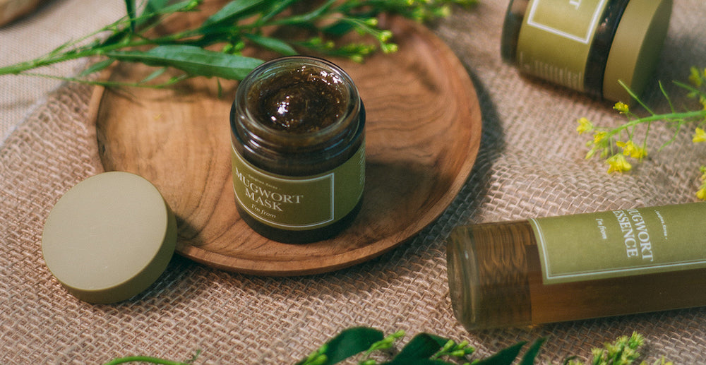 Mugwort (Misk Otu) Cilt Bakımı: En İyi Kore Bitki Özü Ürünleri